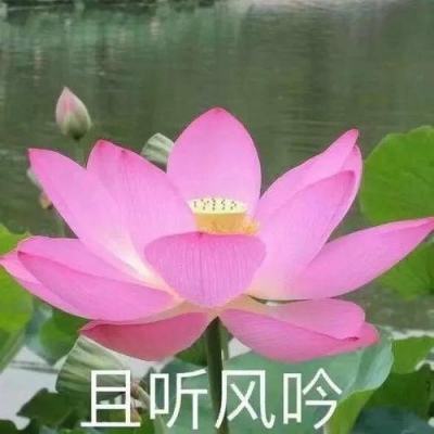 60余件清代宫廷文物亮相沈阳故宫文化博物馆